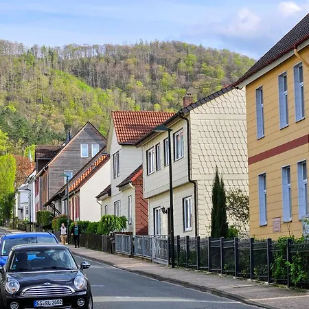 Hirsch Fuchsbau - Zentral - Garten Apartment Bad Harzburg